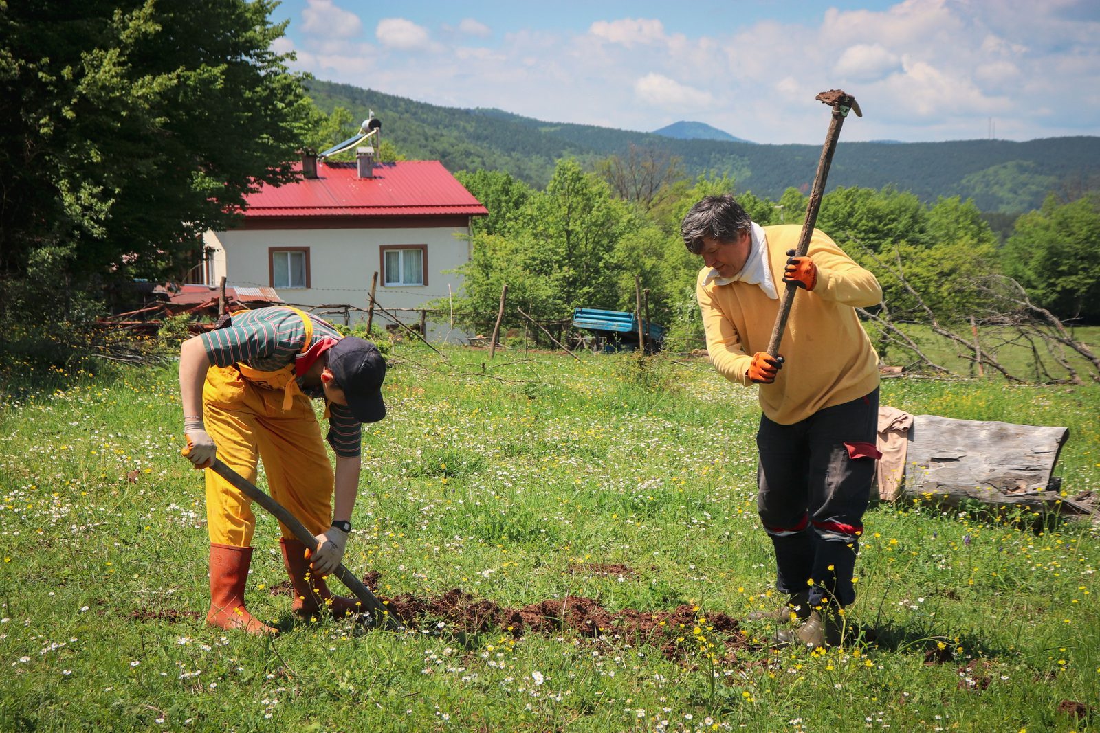Ključni koraki za optimalno pripravo tal