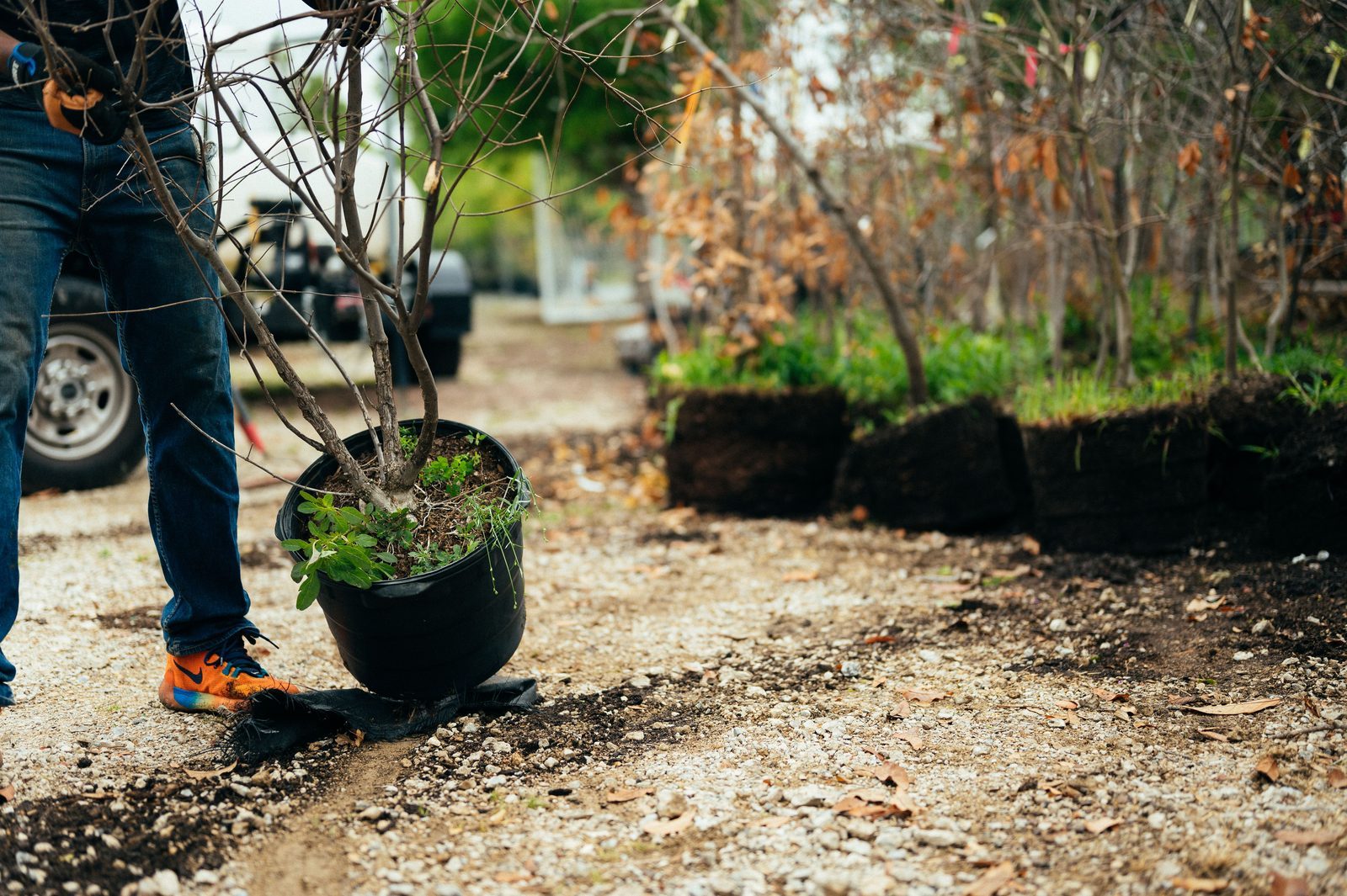 Photo from Plant Crew