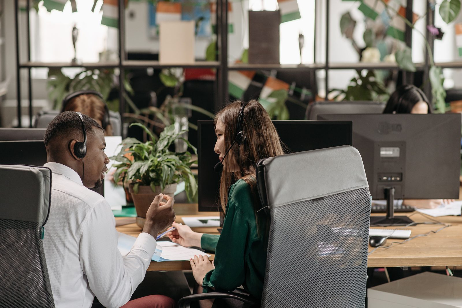 Photo from Plant Crew